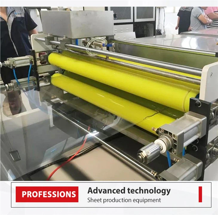 PLA Biodegradable Sheet Extruder PET PP PS Plastic Extruder Machine